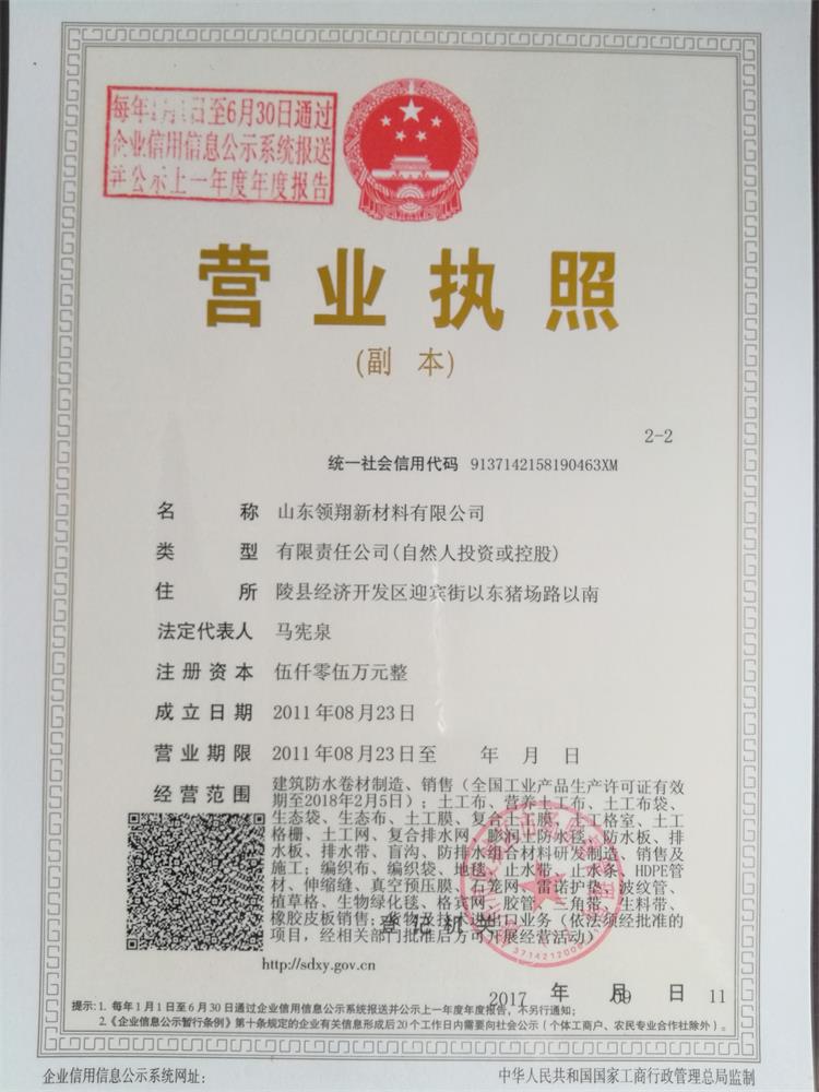 山东领翔新材料有限公司荣誉资质